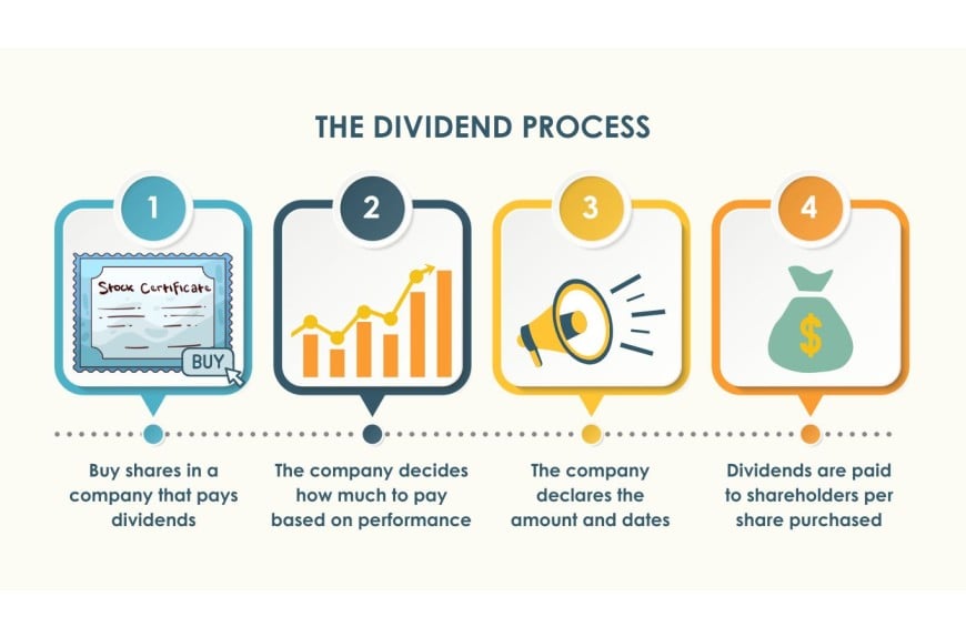 What is a Dividend? A Simple Explanation for Beginners