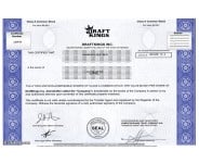 DraftKings - Replica Stock Certificate