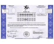 Hasbro - Replica Stock Certificate