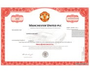 Manchester United Stock - One Share