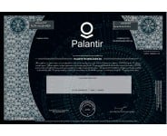 Palantir Stock - One Share