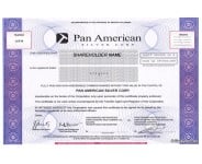 Pan American Silver Stock - One Share